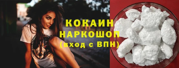 стаф Белокуриха