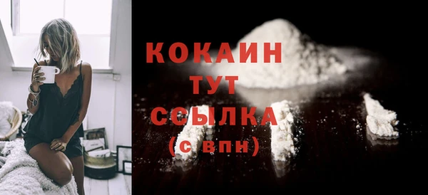 стаф Белокуриха