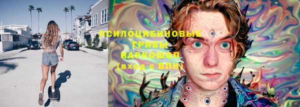 стаф Белокуриха