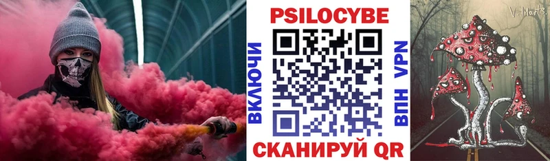 Галлюциногенные грибы Magic Shrooms  закладка  Кувшиново 
